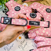 Dusky Pink Daisies Dog Collar